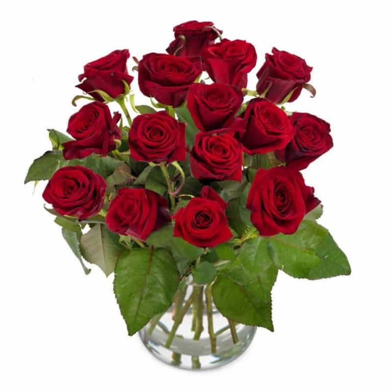 Rote Rosen | Heute lieferbar* | Blumenversand