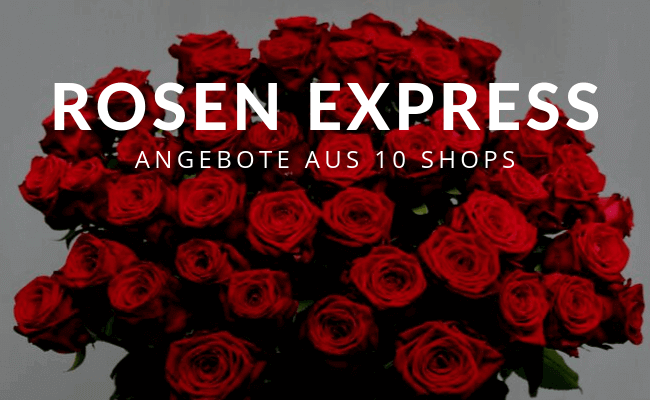 Heute Rosen bestellen - Heute Rosen liefern* 24blooms