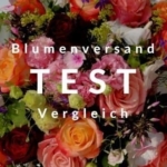 Blumenversand Österreich - TEST 
