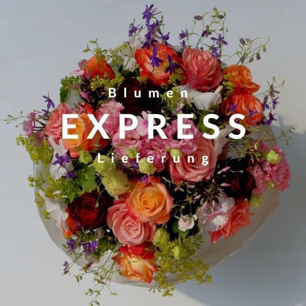Die 10 besten Blumen HEUTE - Express - Shops | 24blooms