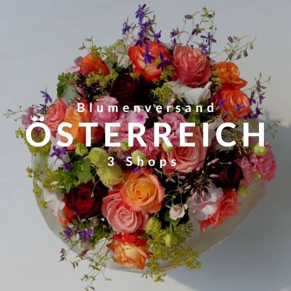 44+ Flower sprueche , TOP 3 Blumenversand Österreich HEUTE Blumen verschicken