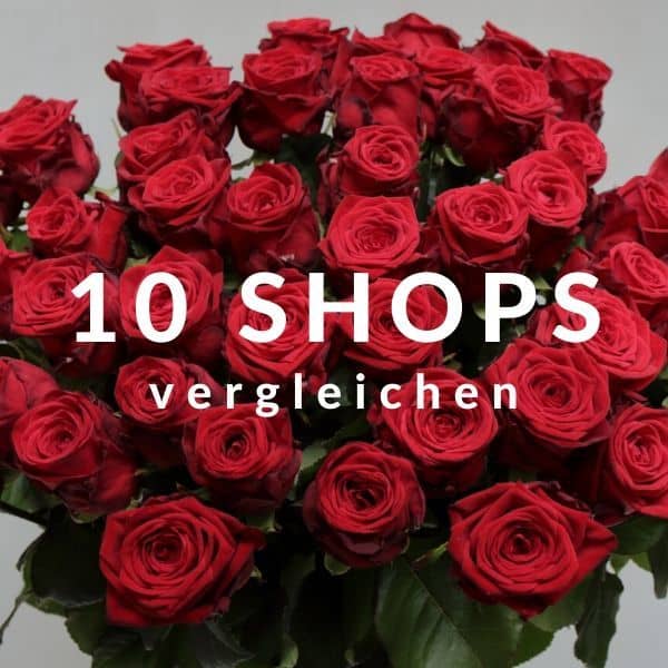 12 Rosenstrauss Angebote Aus 10 Shops 24blooms Express