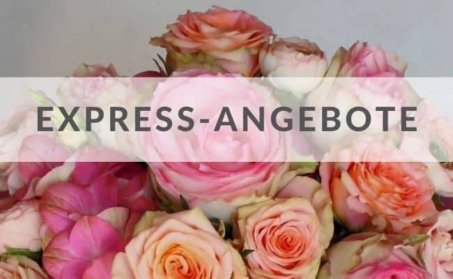 express blumenversand