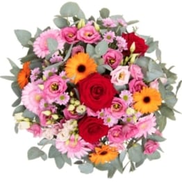 Fleurop - Blumenversand - Blumen verschicken Liebste Grüße