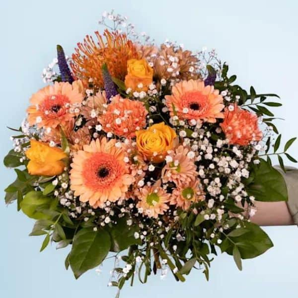 Heute Blumen Kaufen In Der Nähe Heute Blumen zum Geburtstag verschicken (Ab € 30)