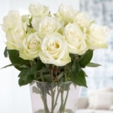10 weiße Rosen bestellen