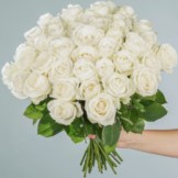 40 weiße Rosen kaufen