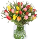 Tulpen verschicken mit BlumeIdeal