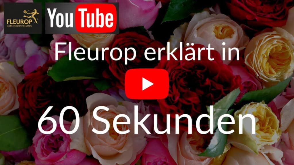 Blumen verschicken Sonntag Lieferung garantiert (Ab €28)