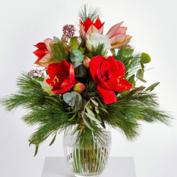 Wintertraum Blumen verschicken mit Fleurop